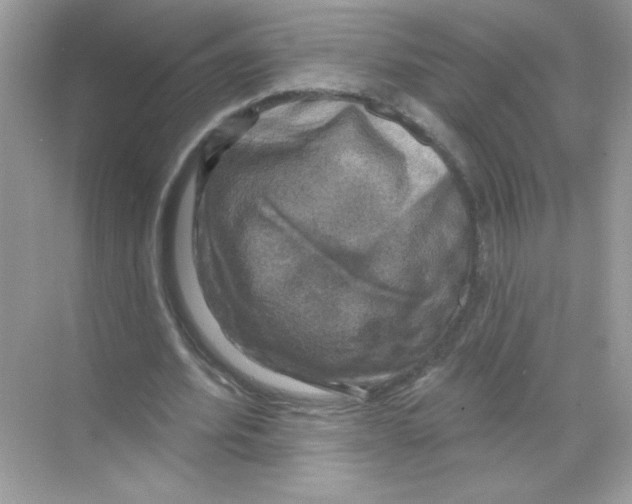 X0000068890580200606021922