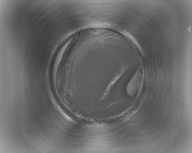 X0000068890581200606021922