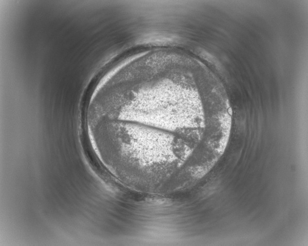 X0000068890582200606021922