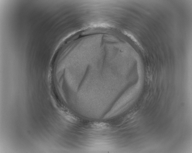 X0000068890583200606021921