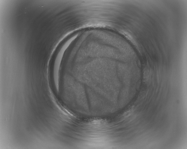 X0000068890584200606021921