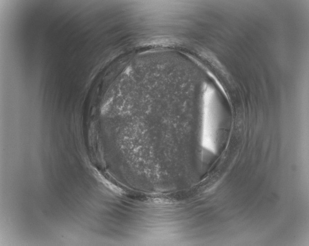 X0000068890585200606021921