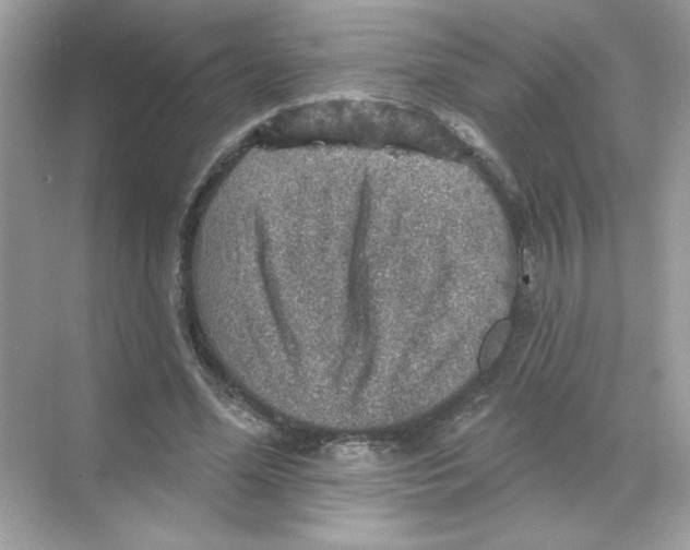 X0000068890588200606021921