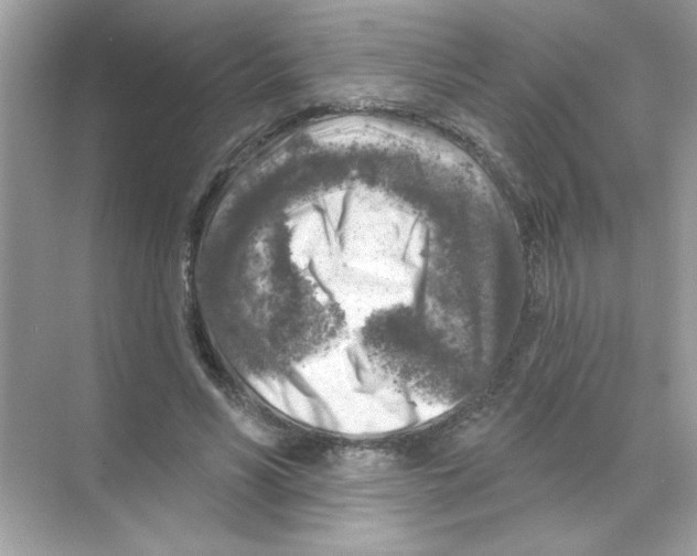 X0000068890590200606021921