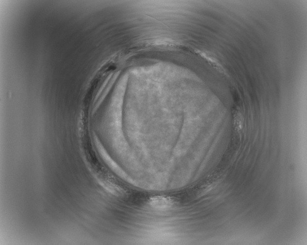 X0000068890591200606021921