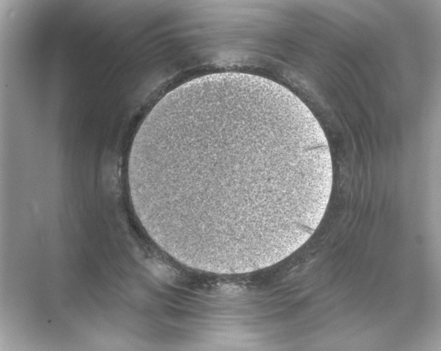 X0000068890592200606021921