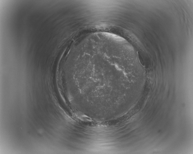 X0000068890593200606021921