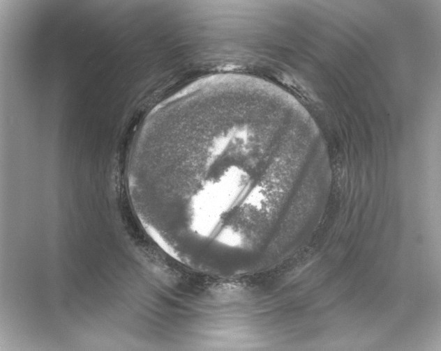 X0000068890594200606021921