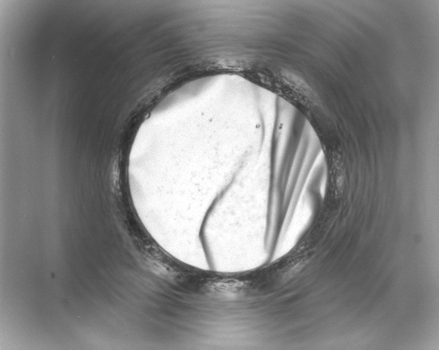 X0000068890595200606021921