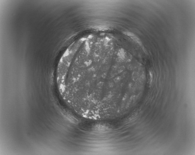 X0000068890596200606021921