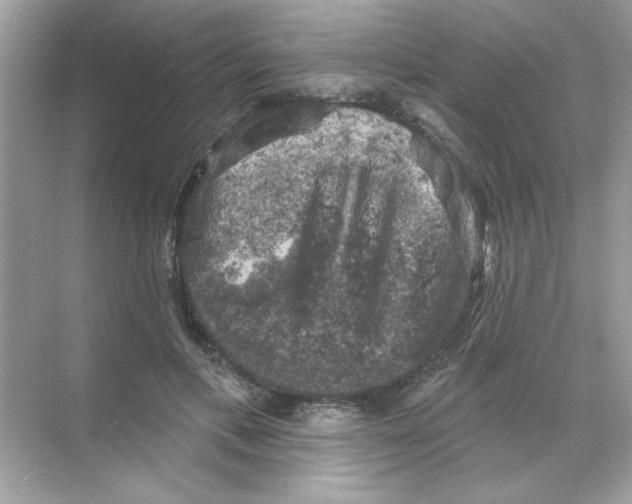 X0000068890597200606021921