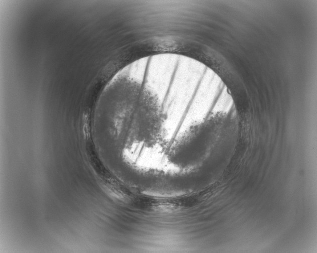 X0000068890598200606021921