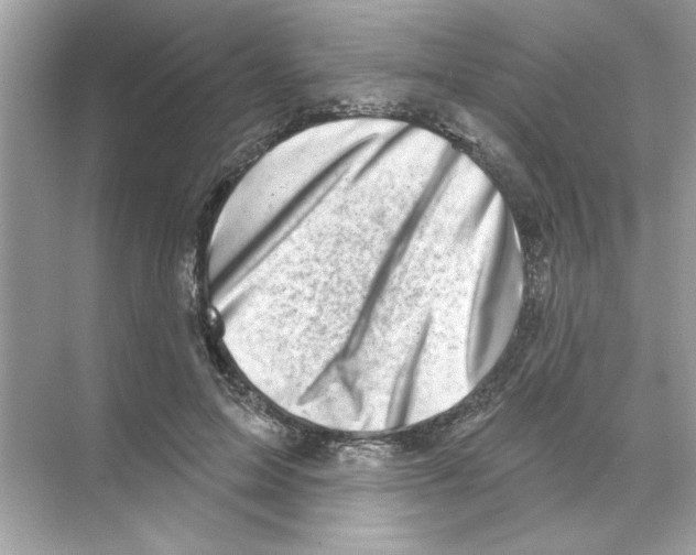 X0000068890599200606021921