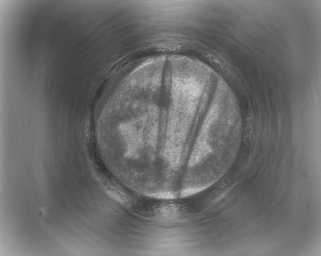 X0000068890600200606021921