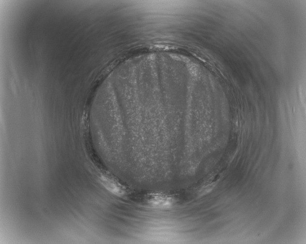 X0000068890601200606021921