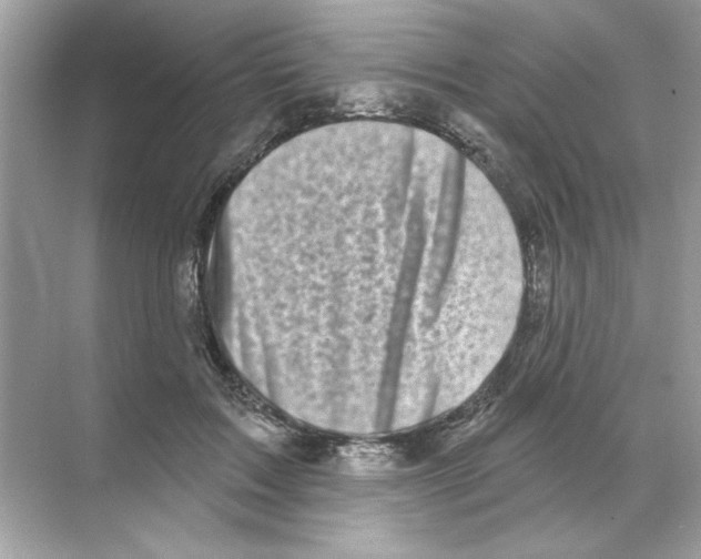 X0000068890603200606021921