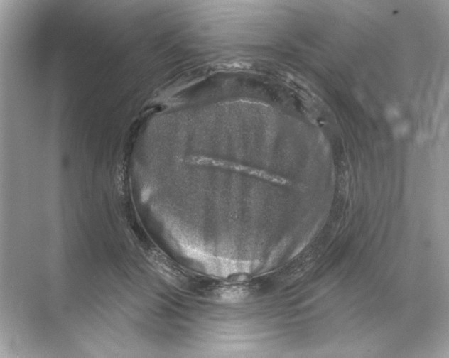 X0000068890604200606021921