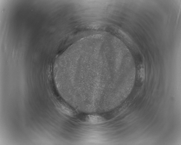 X0000068890605200606021921