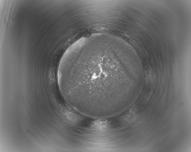 X0000068890606200606021921