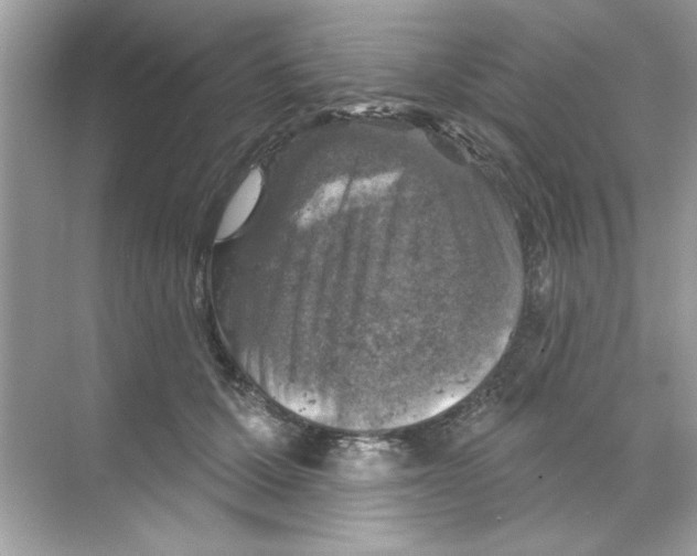 X0000068890607200606021921