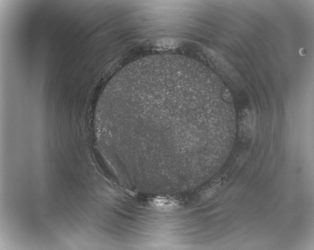 X0000068890608200606021921