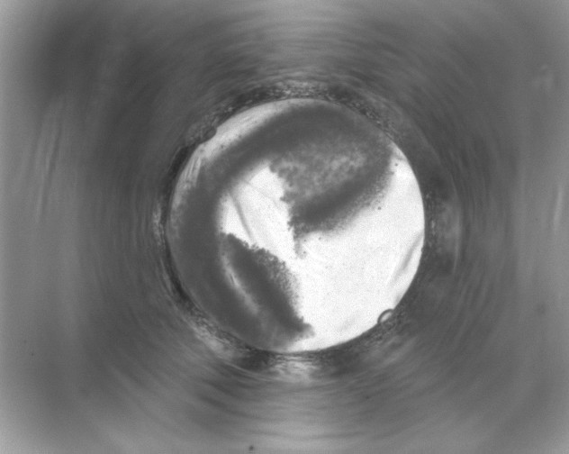 X0000068890610200606021921