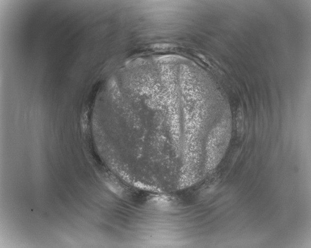 X0000068890611200606021921