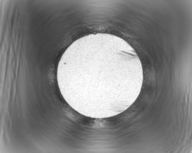 X0000068890612200606021921