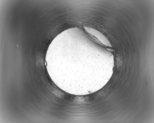 X0000068890613200606021921