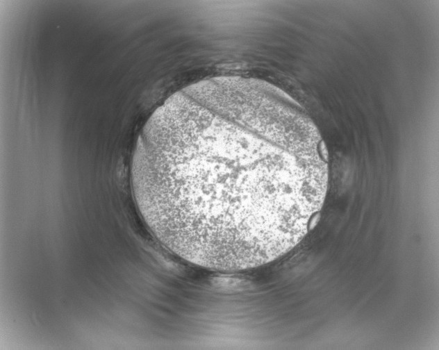 X0000068890614200606021921