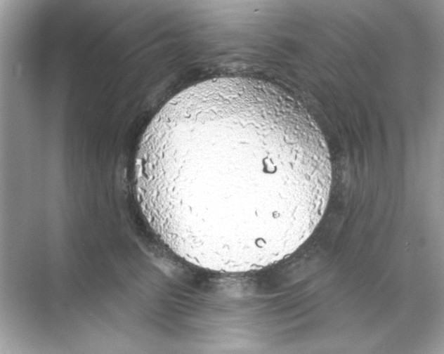 X0000068890615200606021921