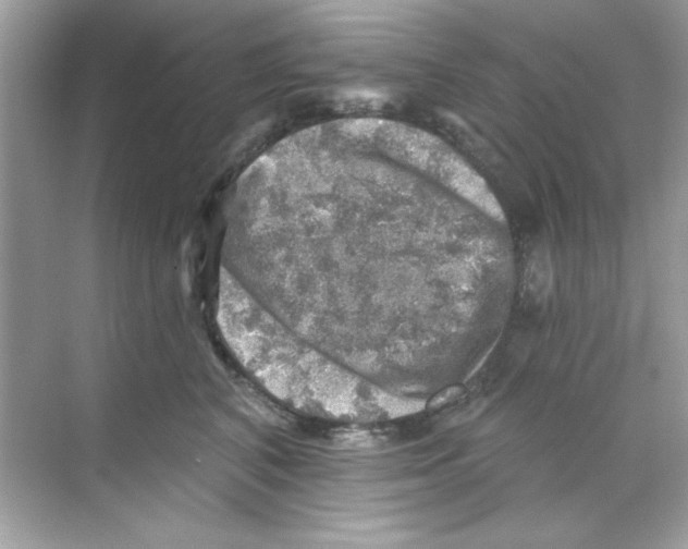 X0000068890616200606021921