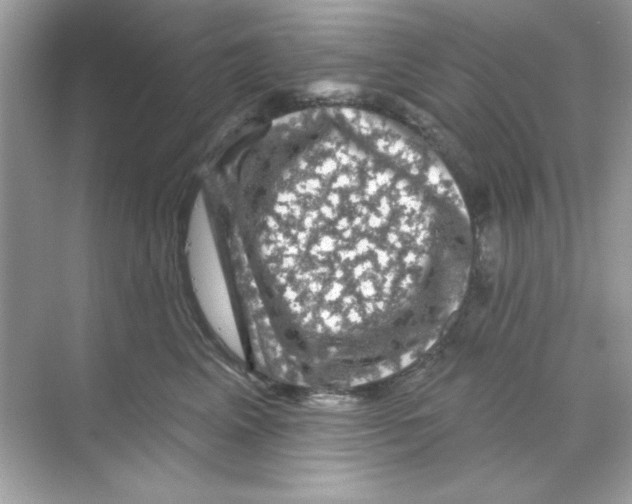 X0000068890617200606021921