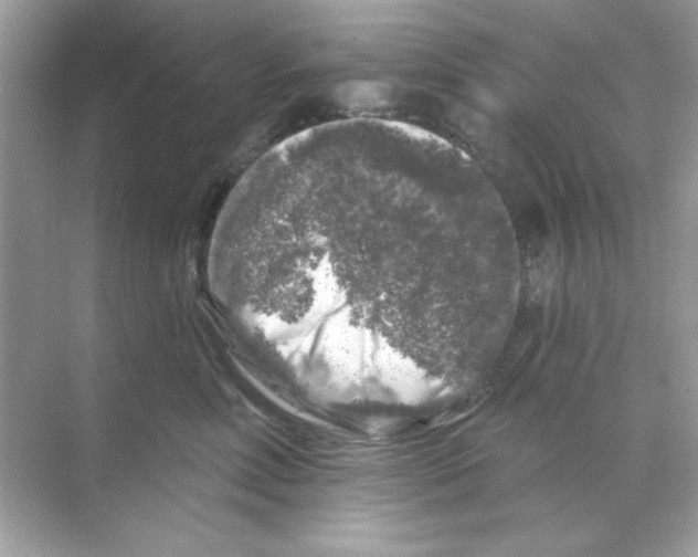 X0000068890618200606021921