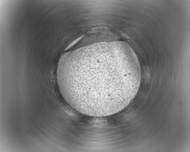 X0000068890619200606021921