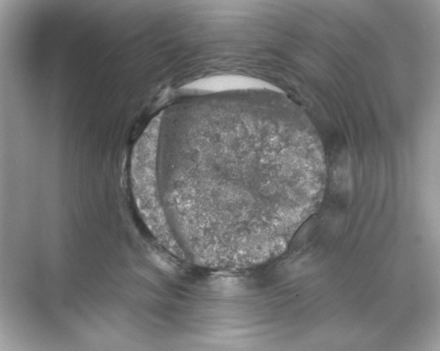 X0000068890620200606021921