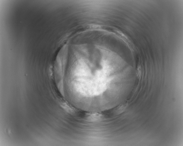 X0000068890621200606021921