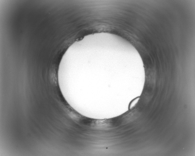 X0000068890622200606021921