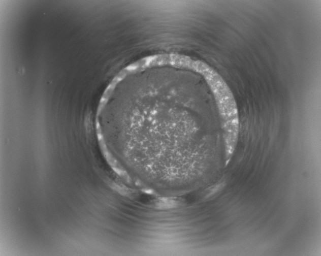 X0000068890623200606021921