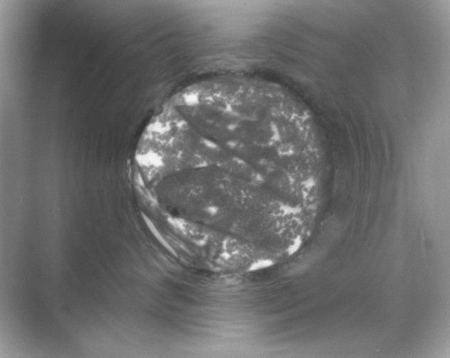 X0000068890624200606021921