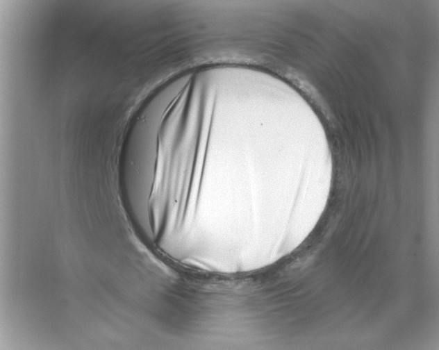 X0000068890625200606021920