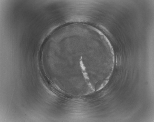 X0000068890627200606021920