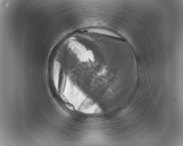 X0000068890630200606021920