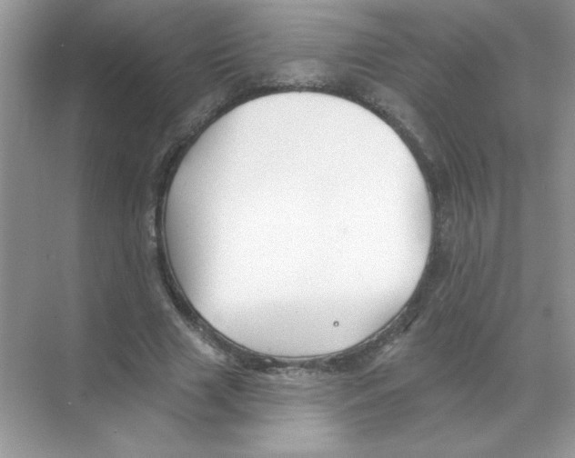 X0000068890633200606021920