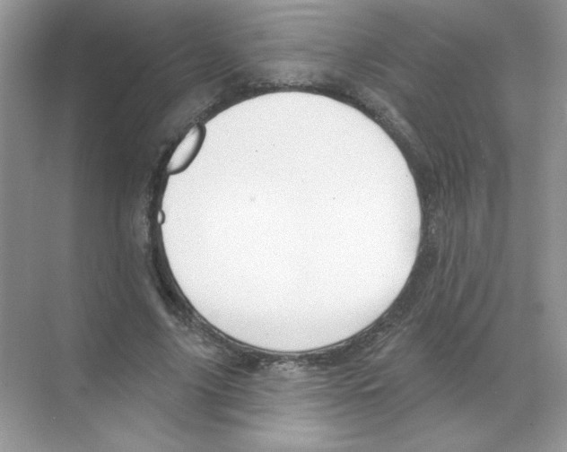 X0000068890635200606021920