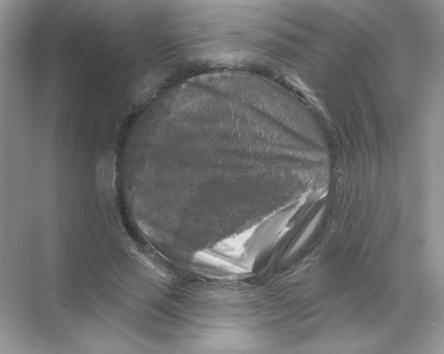 X0000068890637200606021920