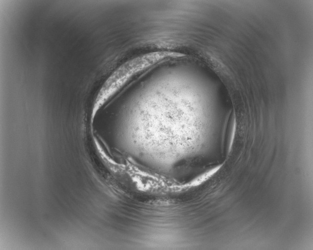 X0000068890639200606021920