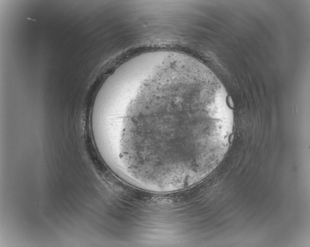 X0000068890640200606021920