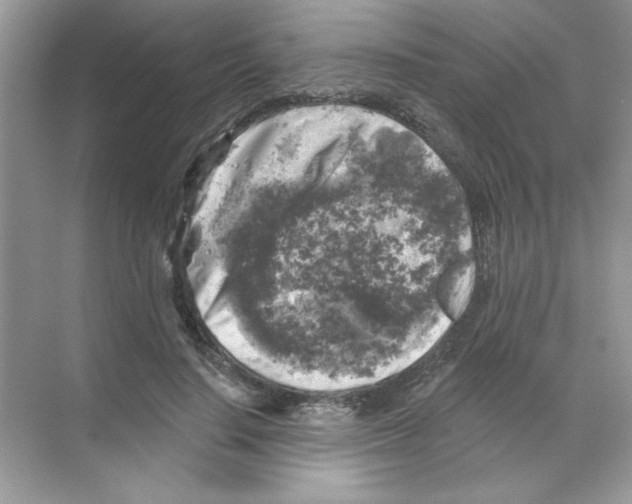 X0000068890644200606021920