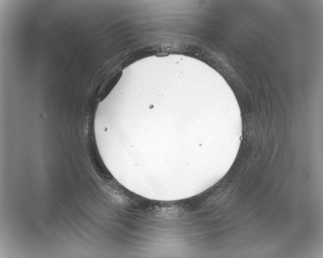 X0000068890645200606021920